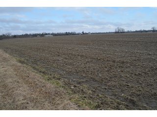 Property photo 53 - 173 +/- Acres Offered in 3 Tracts - Ohio Farmland